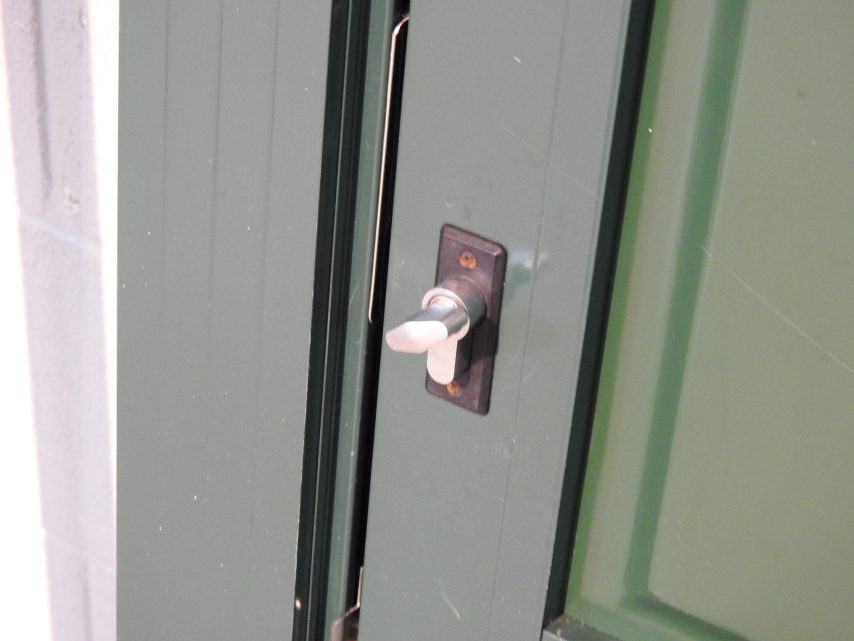 Permanent Green Aluminium Entry Door
