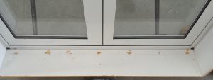 Double glazed french door