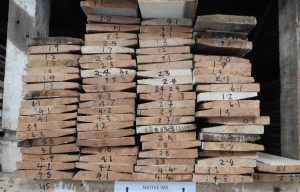 Native Timber Bevel-Back Weatherboard