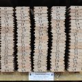 Tawa(C) Tongue & Groove Flooring - 563Lm = 43m2 Job Lot