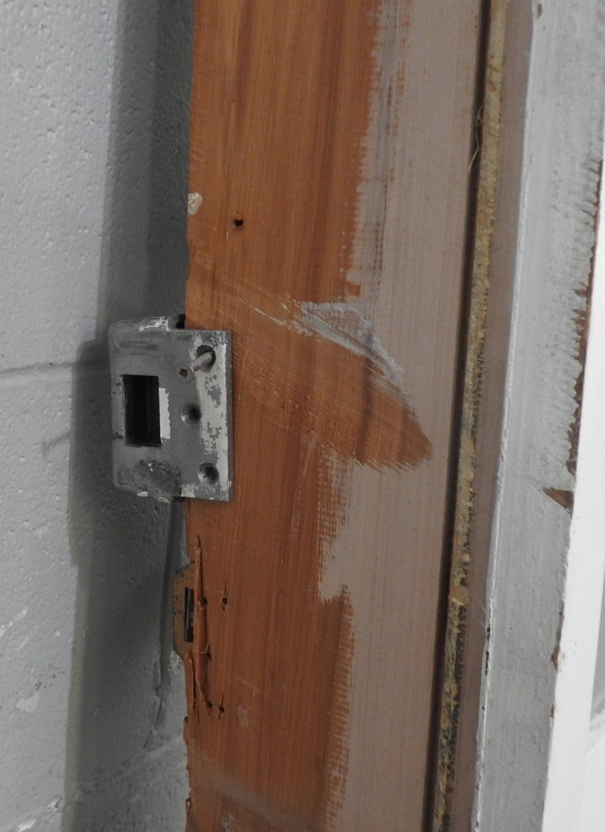 Wooden Exterior 2-Light Entry Door Hung in Frame