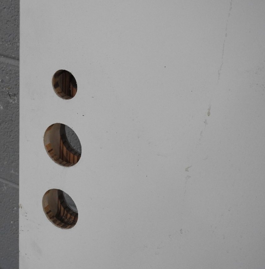 Wooden Exterior 3-Light Entry Door - Double Glazed