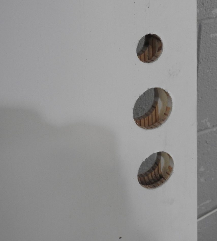Wooden Exterior 3-Light Entry Door - Double Glazed