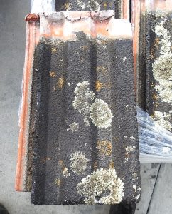 Atlas Roof Tiles - Used