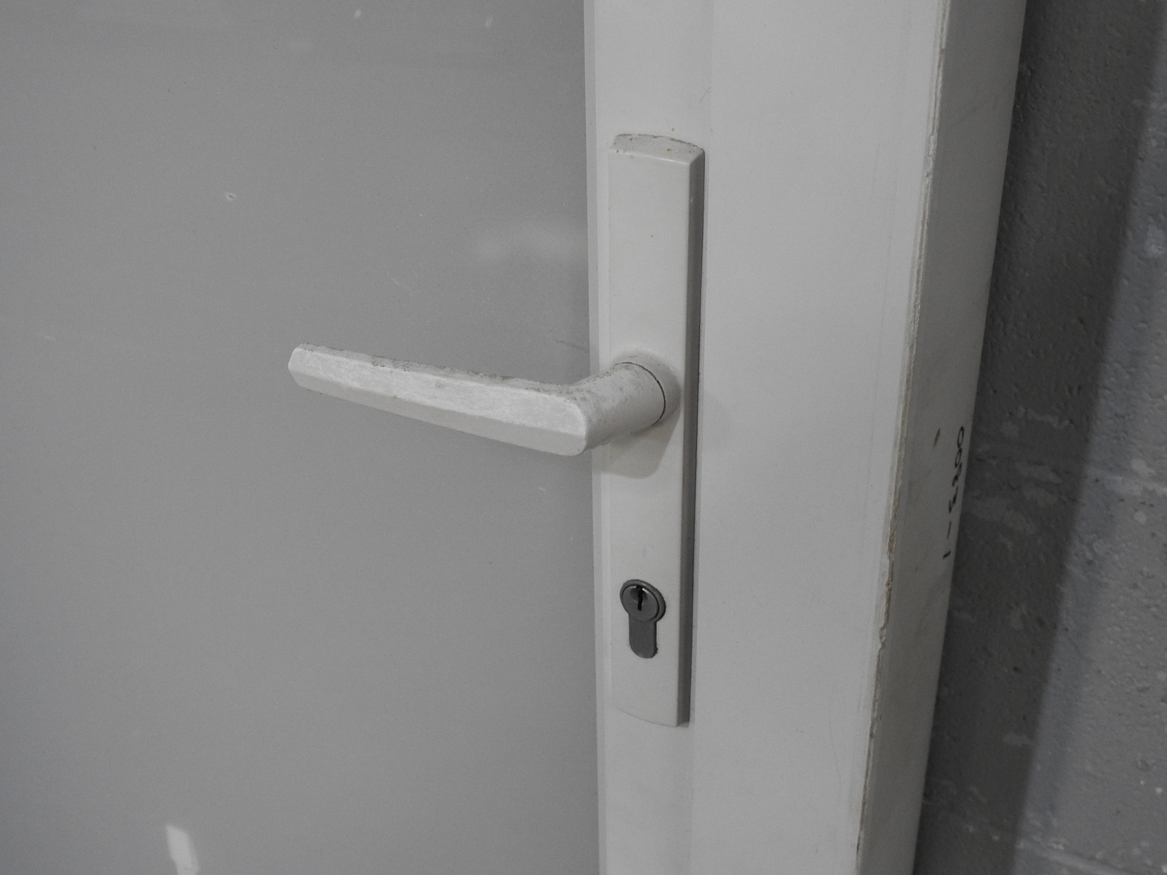 White Aluminium Entry Door With Pet Access-Way