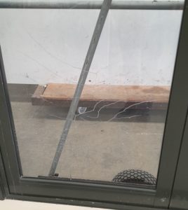 Karaka green aluminium French doors