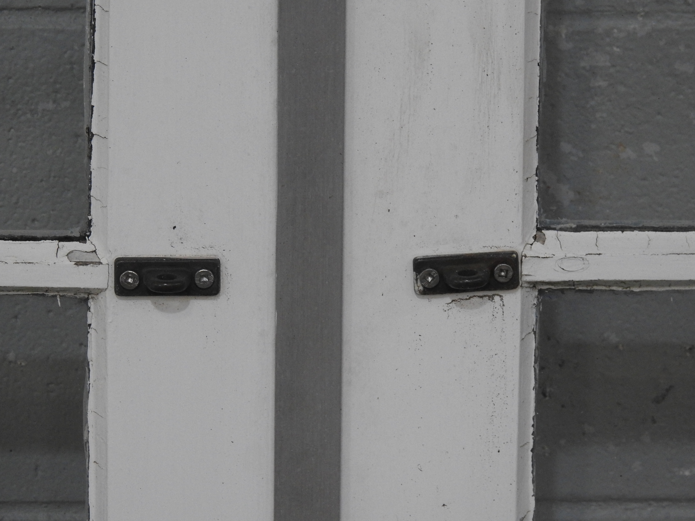 Wooden French 6-Light Doors Hung in Frame