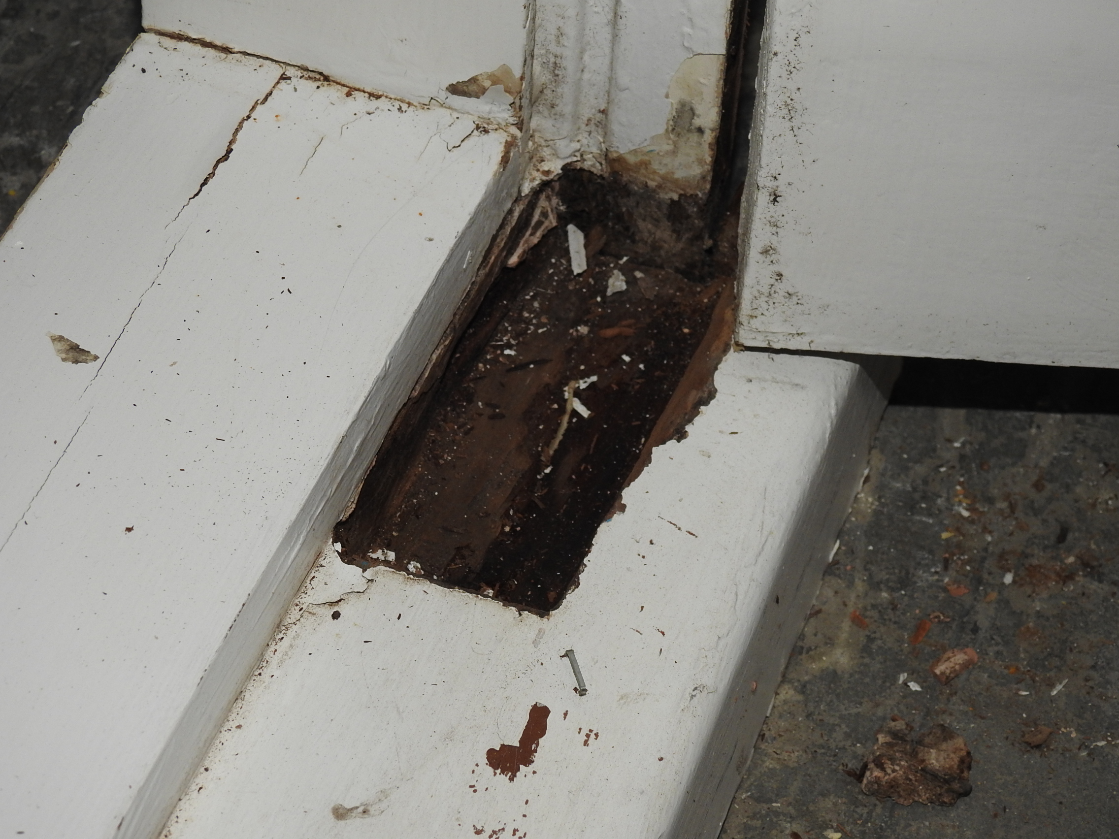 Wooden French 4-Light Doors Hung in Frame