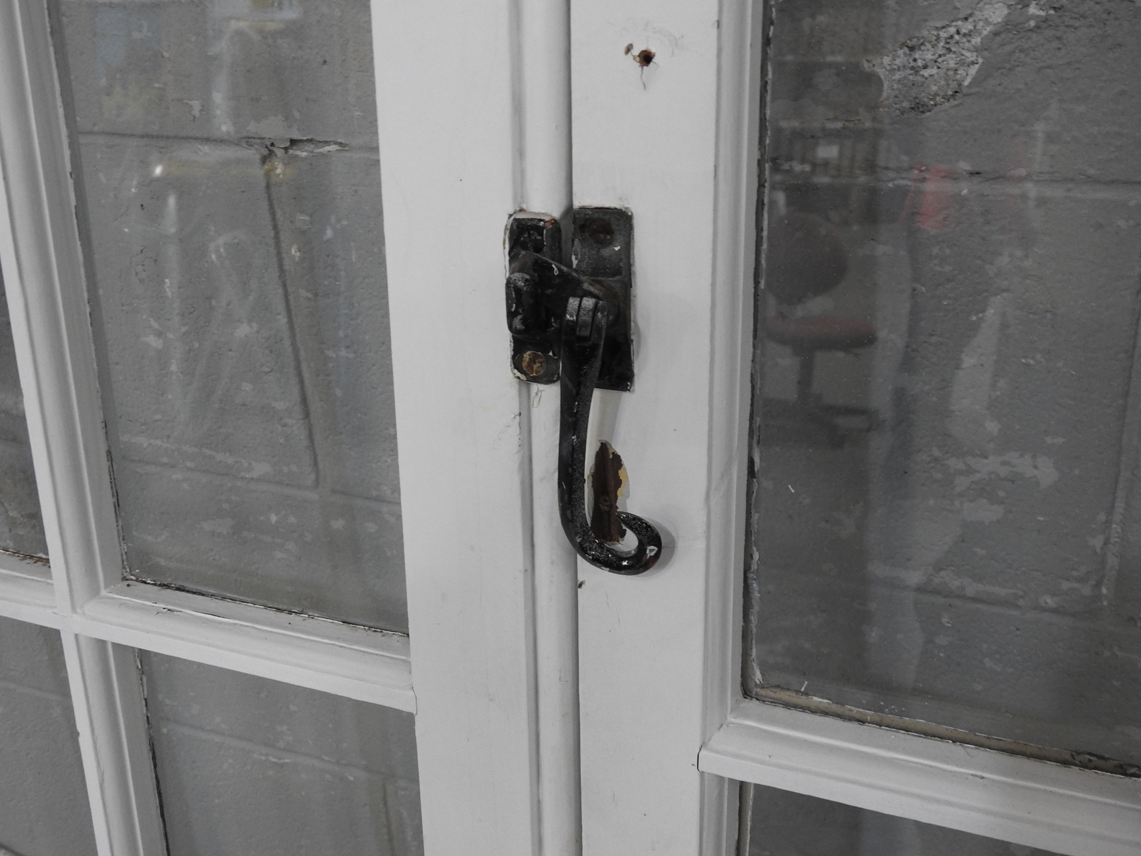 Narrow Villa / Colonial Wooden French 10-Light Doors