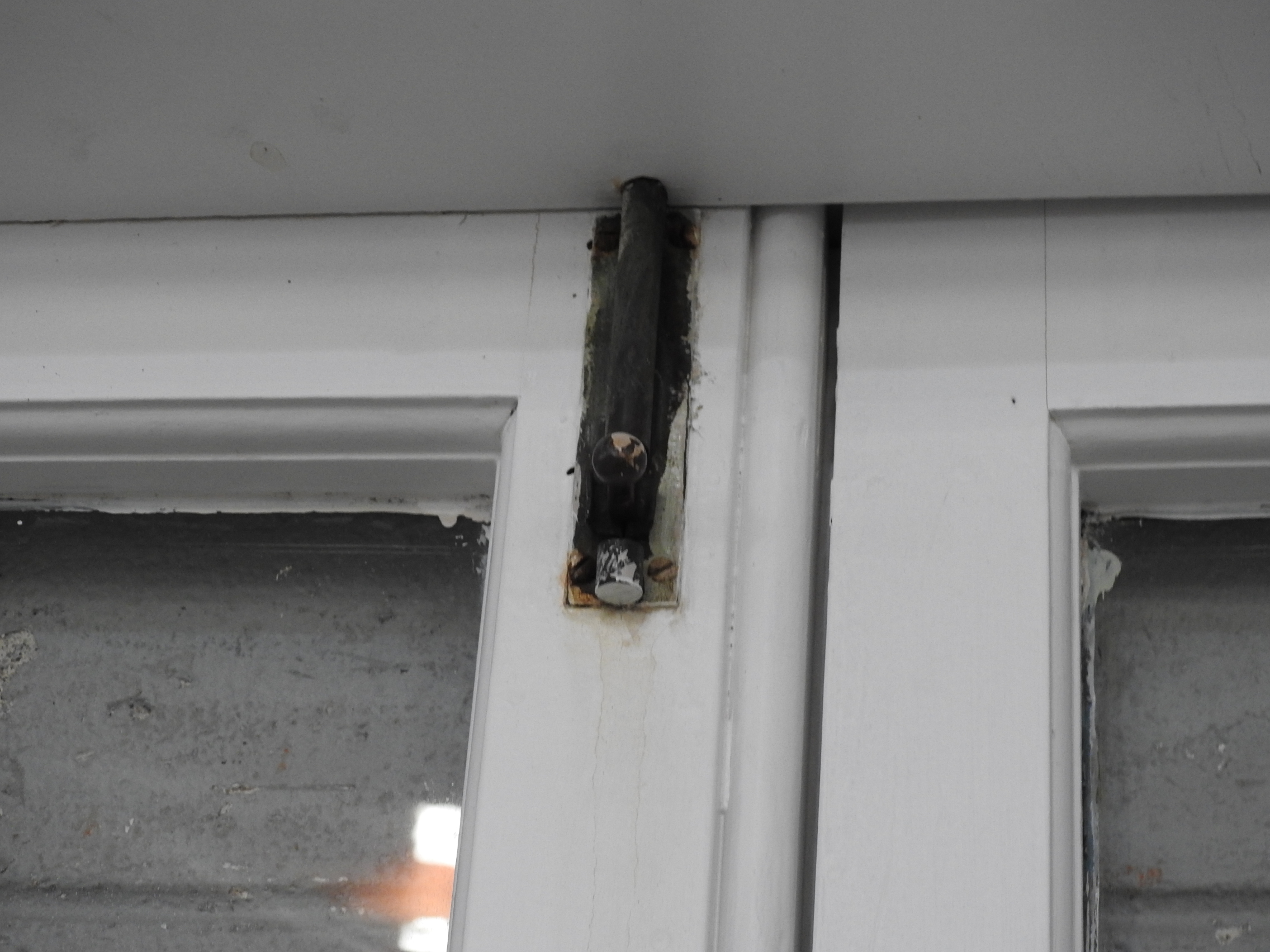 Narrow Villa / Colonial Wooden French 10-Light Doors