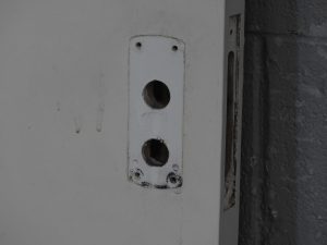 Wooden Rimu Veneer Flush Panel Hollow Core Door - Unhung