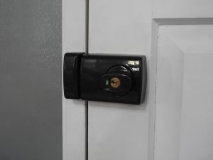 Wooden 8-Panel Entrance Door With Sidelight & Security Door