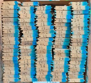 Tawa Tongue & Groove Flooring