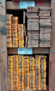 Coloured Matai 62mm Tongue & Groove Flooring