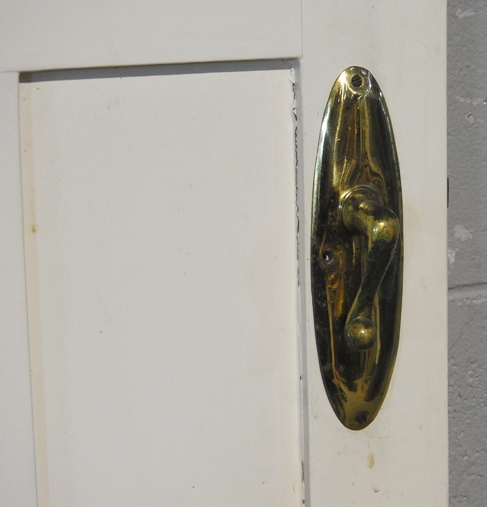 Narrow Wooden Bungalow 2-Panel Cupboard Door - Unhung