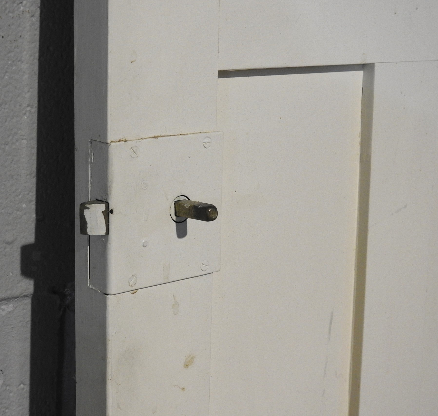 Narrow Wooden Bungalow 2-Panel Cupboard Door - Unhung