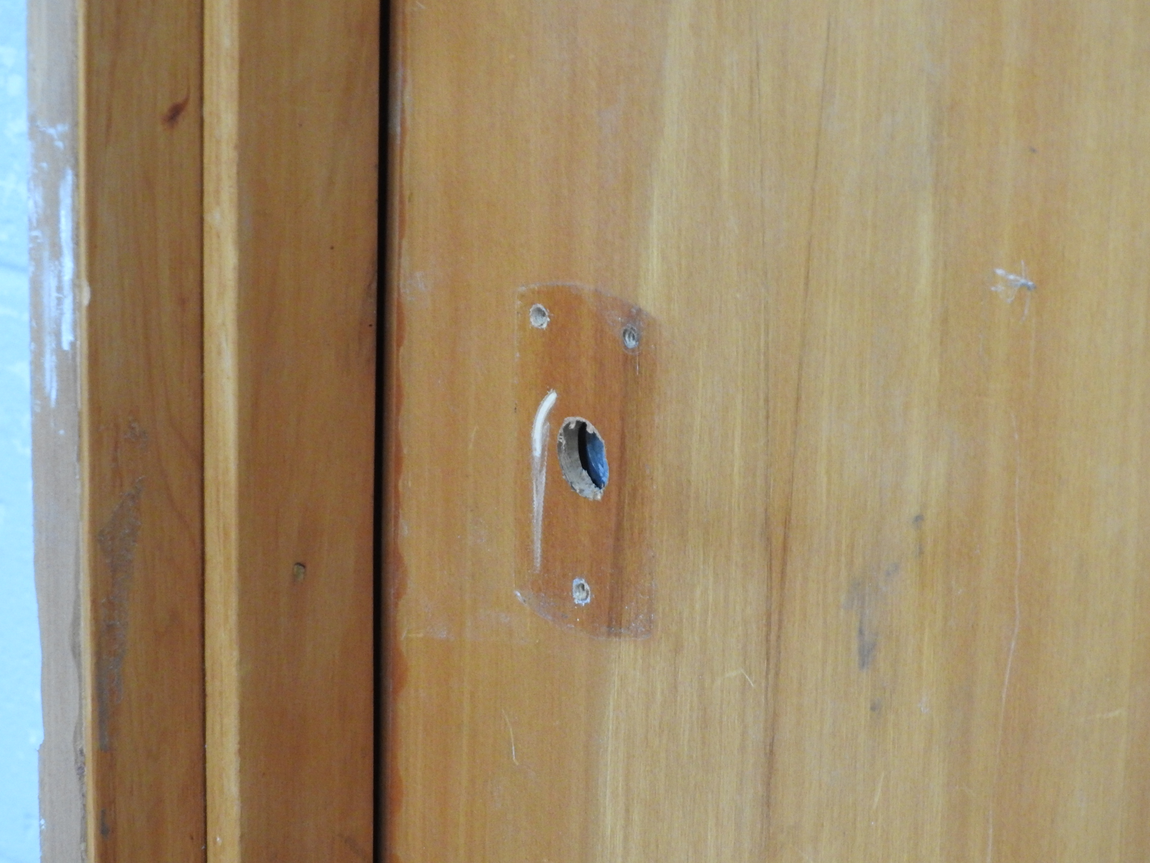 Wooden Rimu Veneer Flush Panel Door Hung in Frame