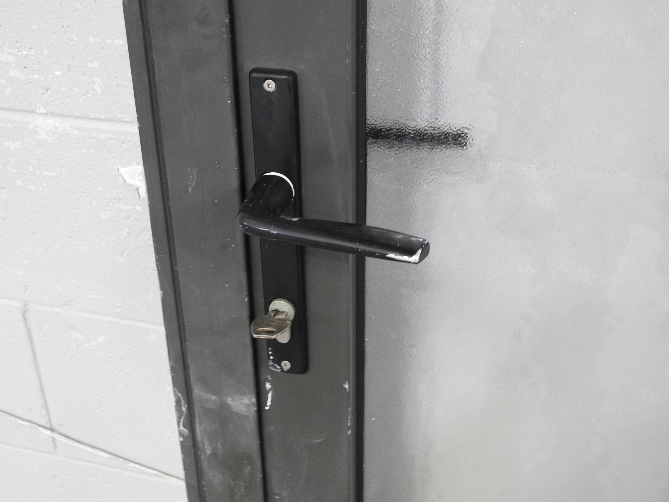 Karaka Green Aluminium Door - Opens In from Left