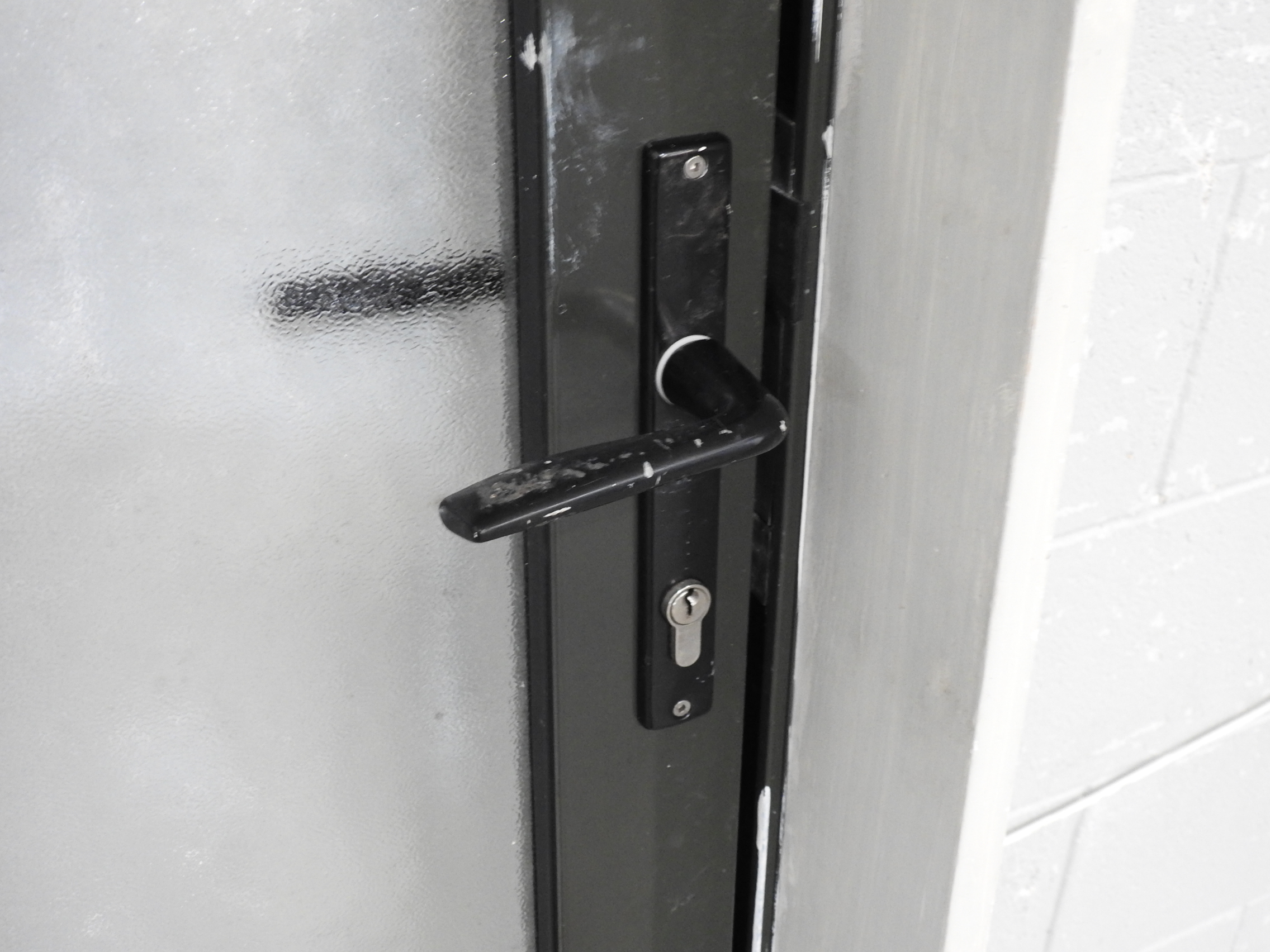 Karaka Green Aluminium Door - Opens In from Left