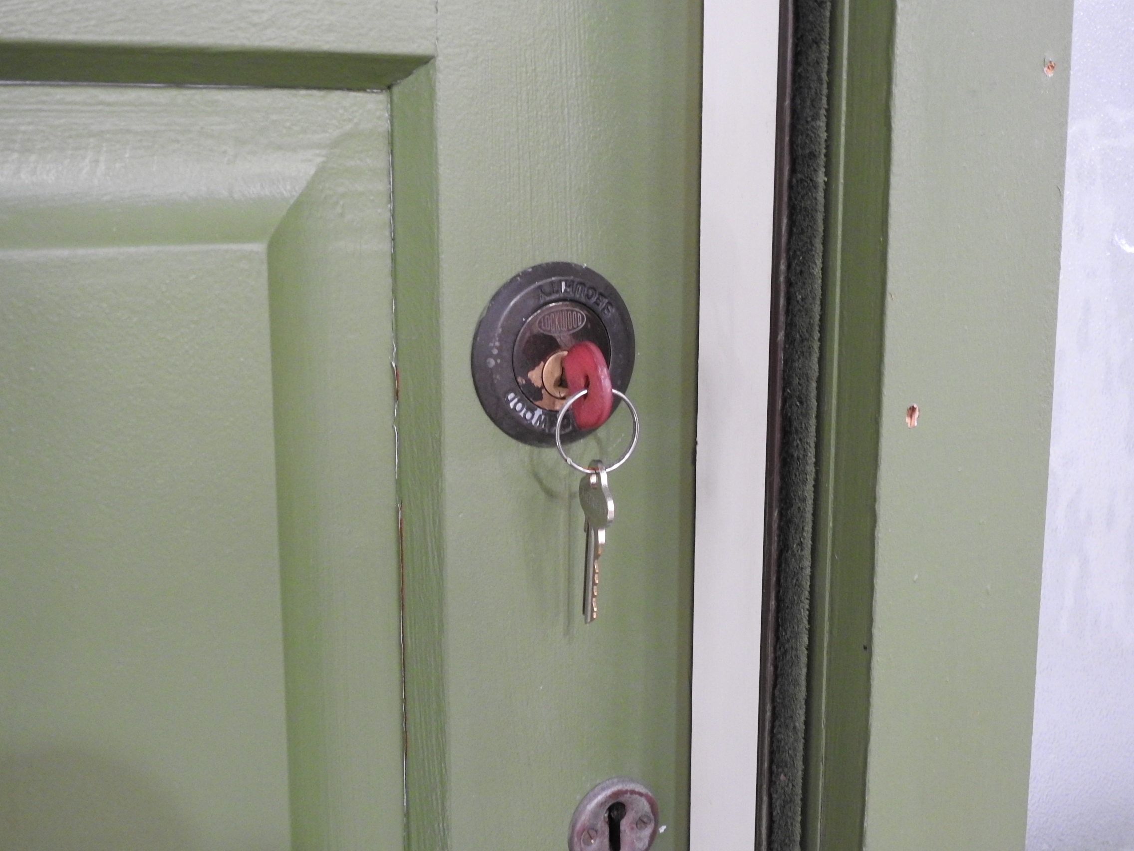 Wooden 8-Panel Entrance Door With Sidelight & Security Door