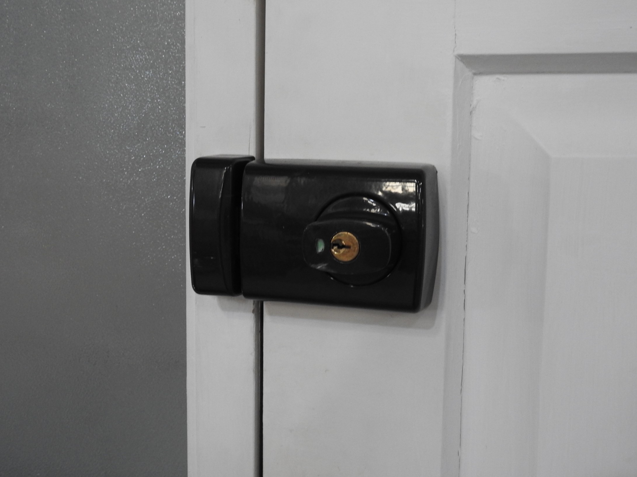 Wooden 8-Panel Entrance Door With Sidelight & Security Door