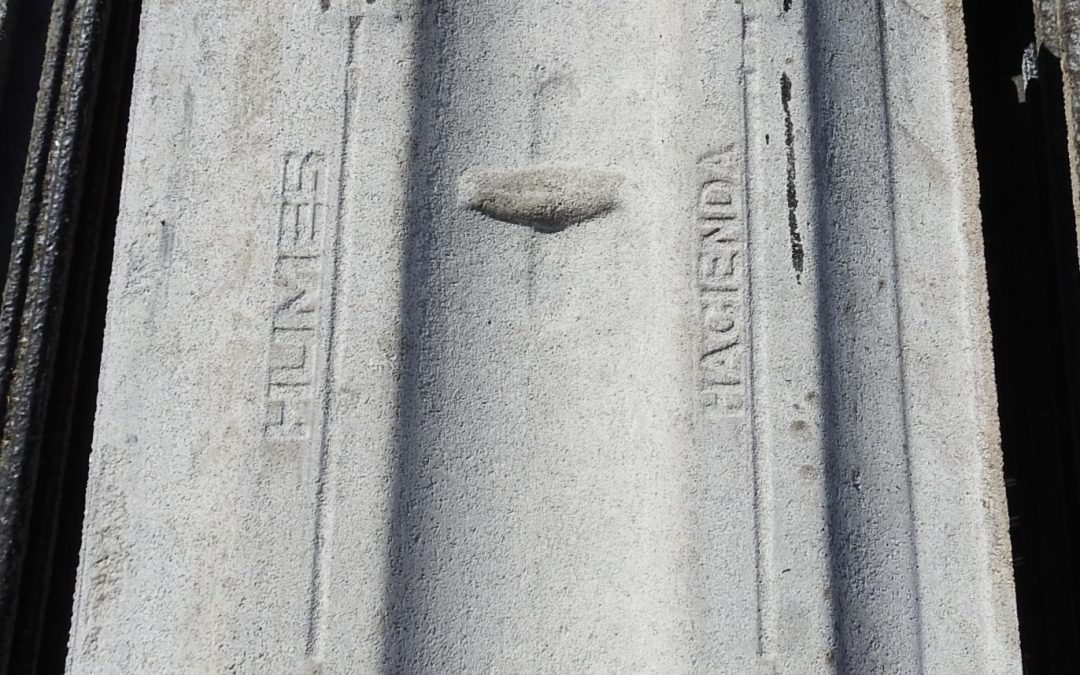 nl165224-1.jpg