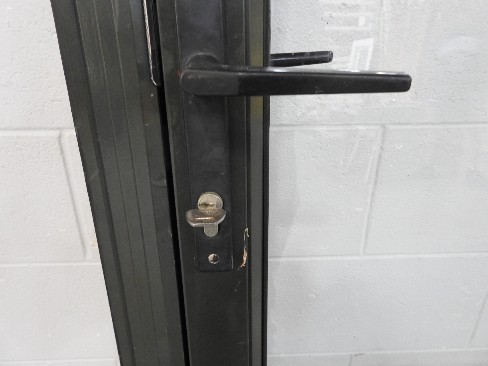Tall Karaka Green Aluminium Entry Door