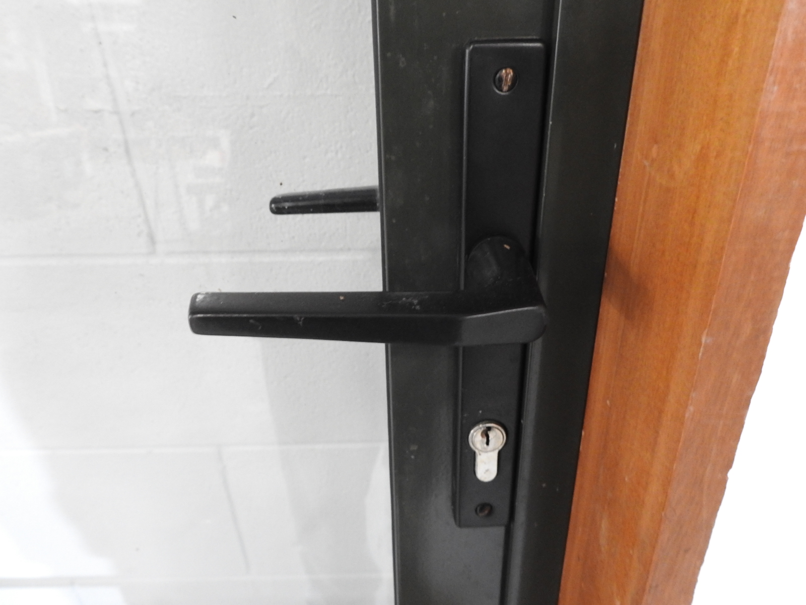 Tall Karaka Green Aluminium Entry Door