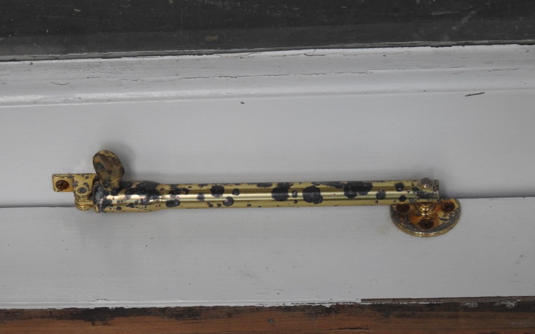 nl165787-1.jpg