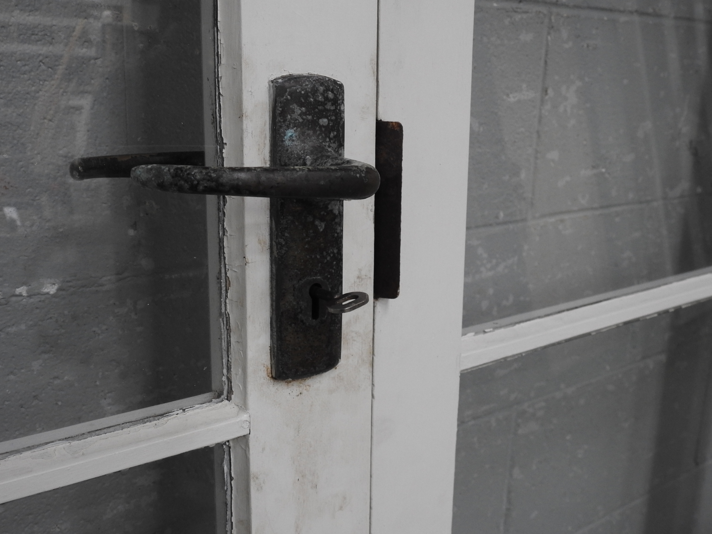 Wooden 4-Light French Doors With Sidelights