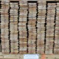 Coloured Matai Tongue & Groove Flooring -288Lm = 22m2 Job Lot