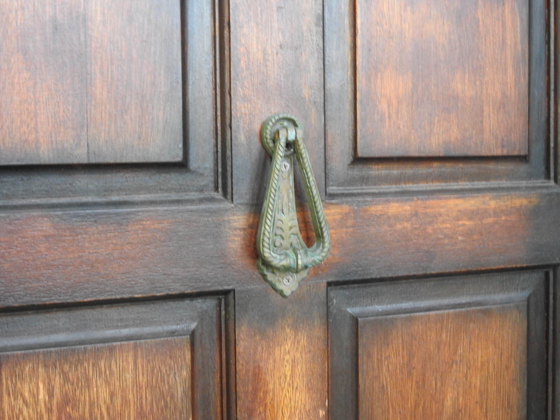 Wooden Exterior Fanlight Door Hung in Frame
