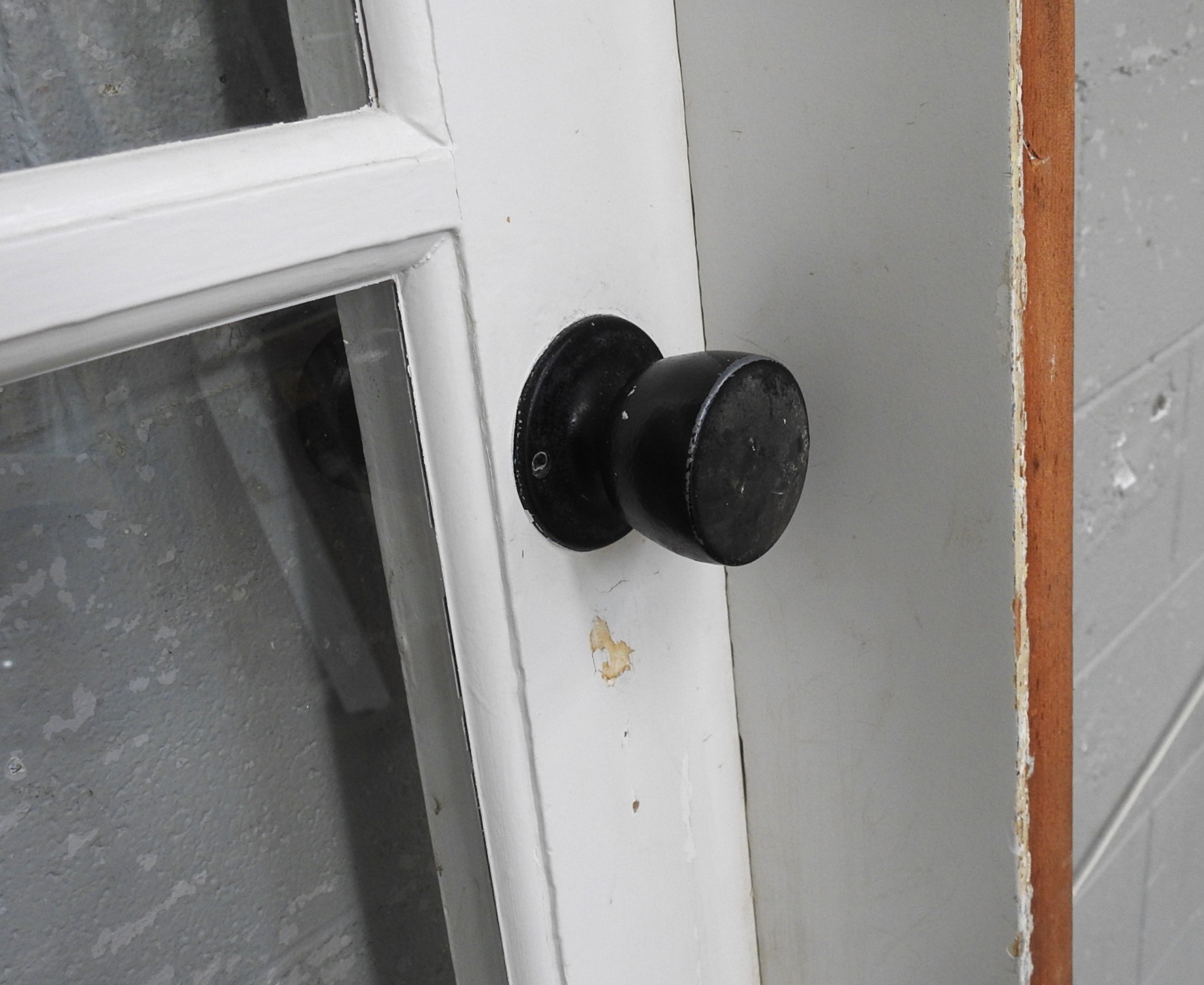 Wooden Bungalow 15-Light Entry Door - Hung