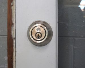 Wooden Bungalow 15-Light Entry Door - Hung