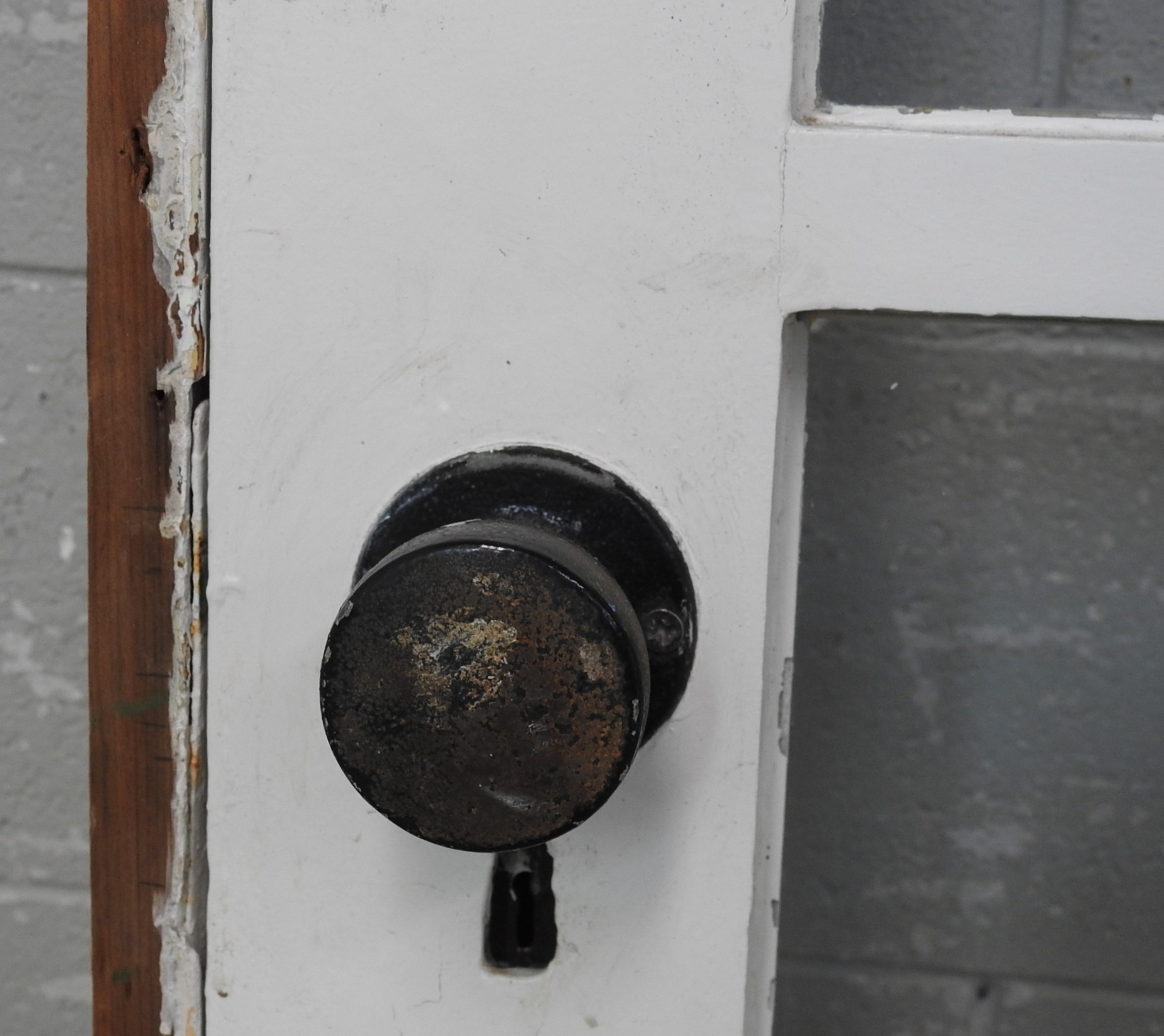 Wooden Bungalow 15-Light Entry Door - Hung